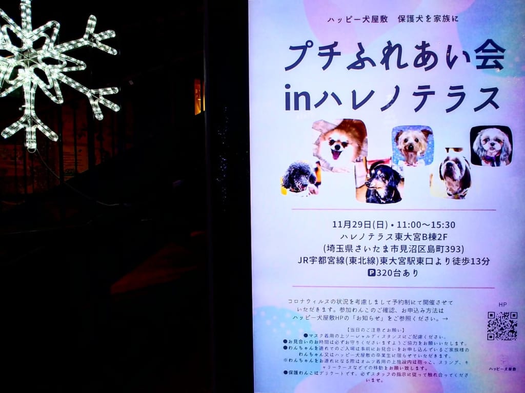 ハレノテラス保護犬譲渡会ポスター
