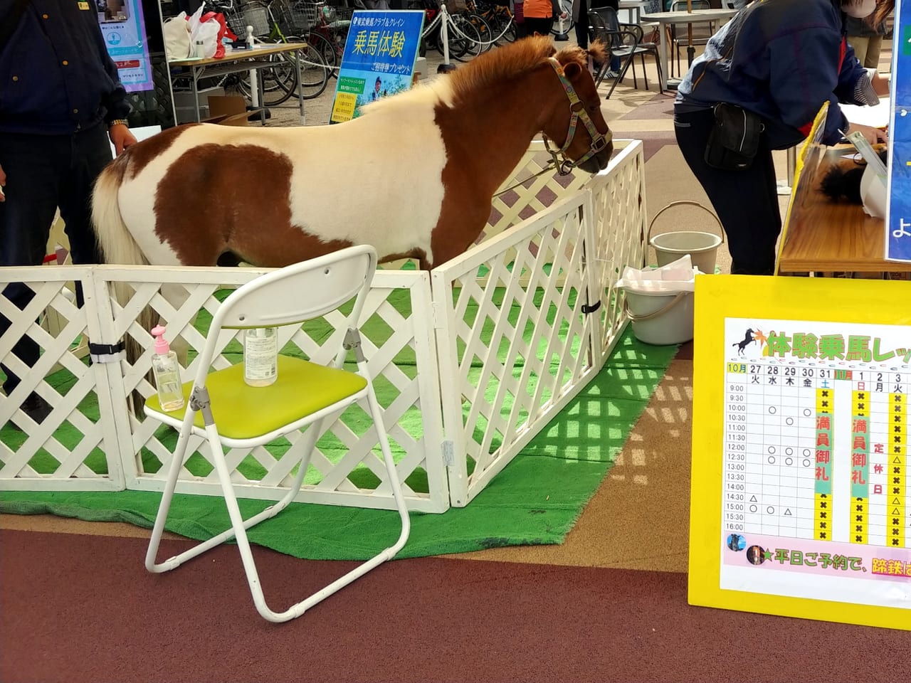 ポニーの嵐丸くん