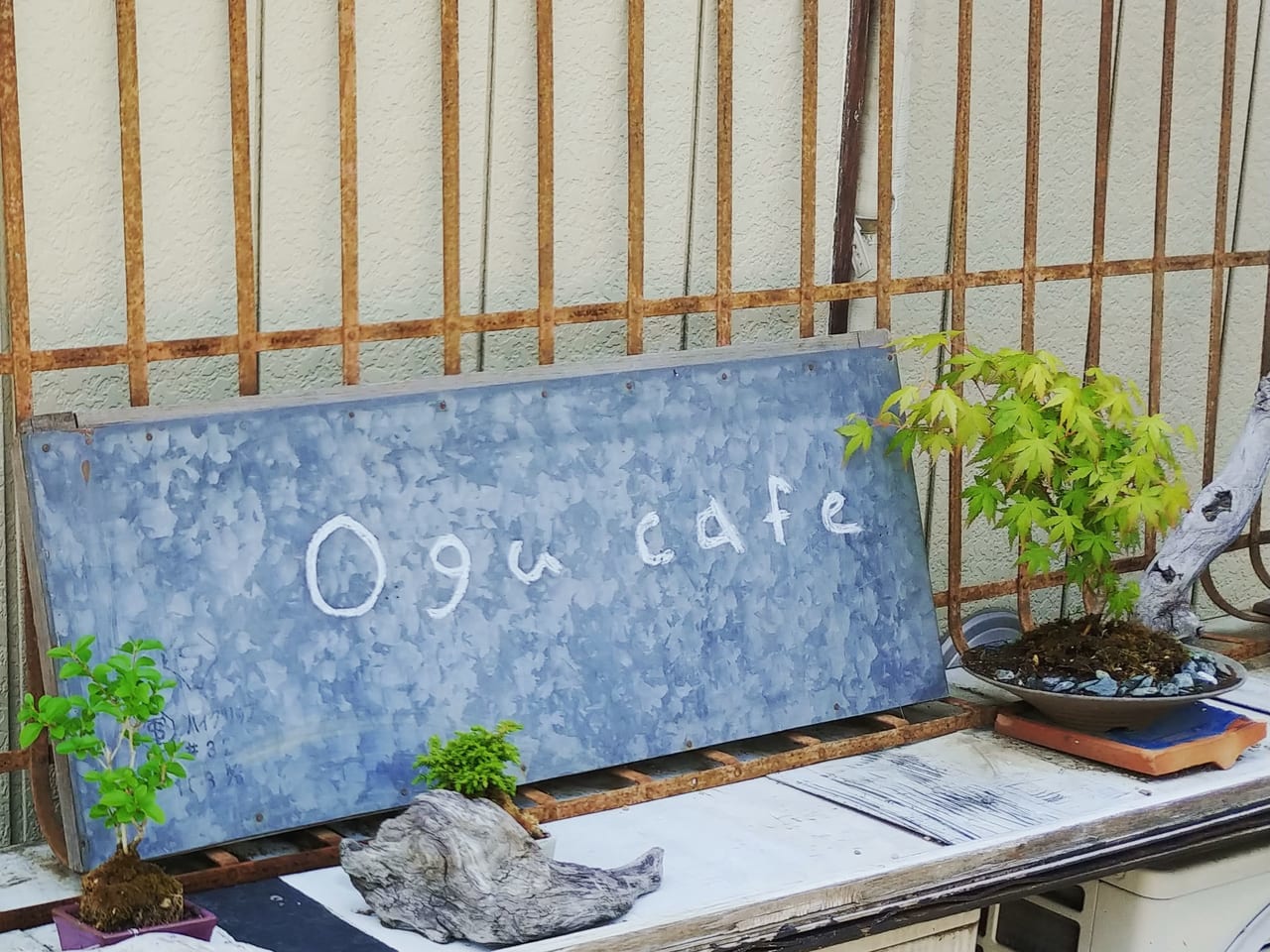 Ogu cafe
