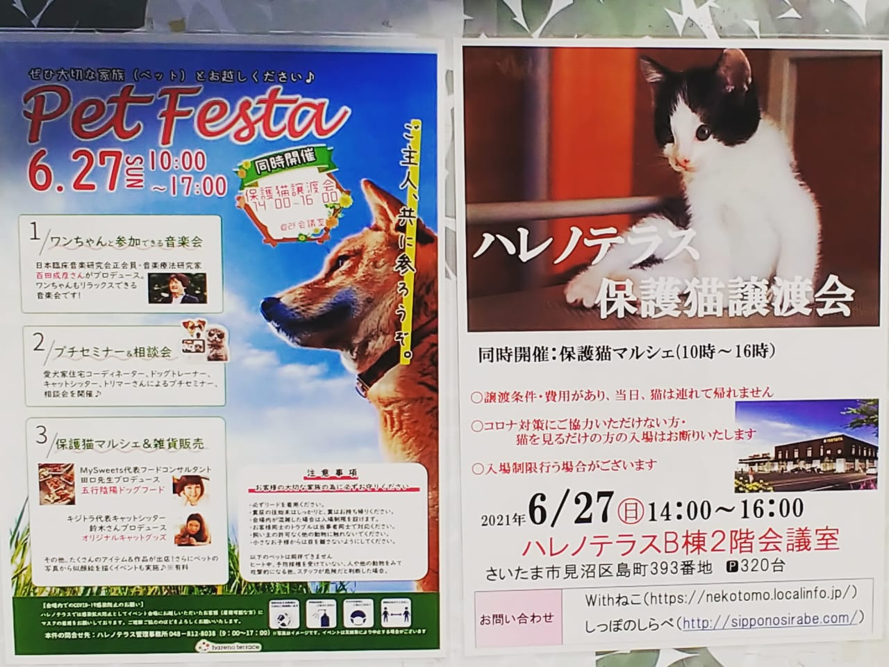 PetFesta