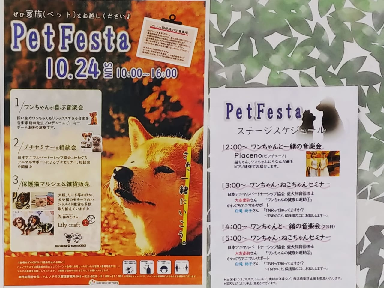 ハレノテラス｢Pet Festa｣告知