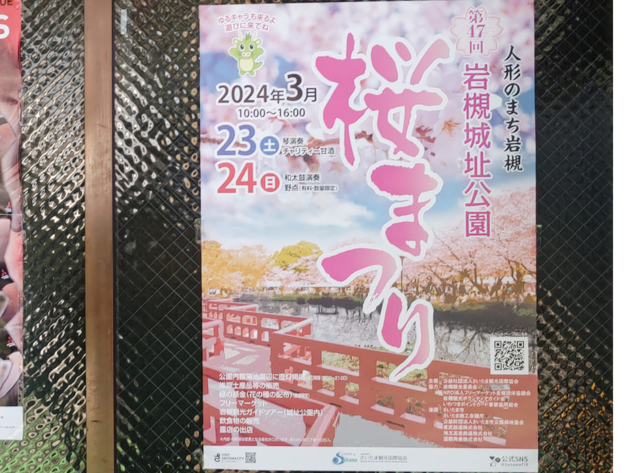 桜まつり　岩槻城址公園　2024年