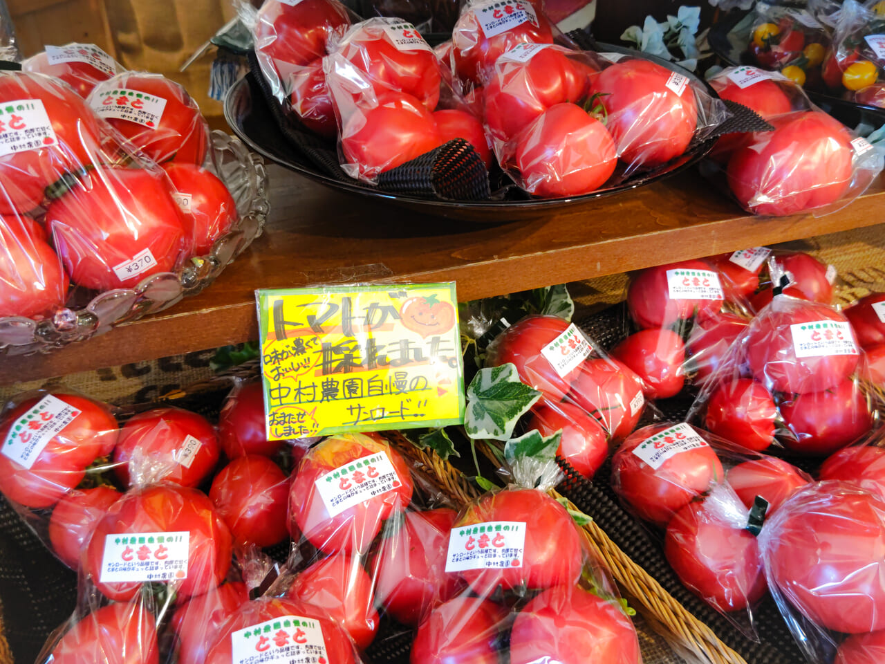 中村農園　トマト