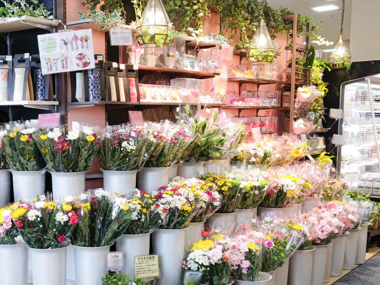 「ヨークフーズ ハレノテラス東大宮店」店内の様子