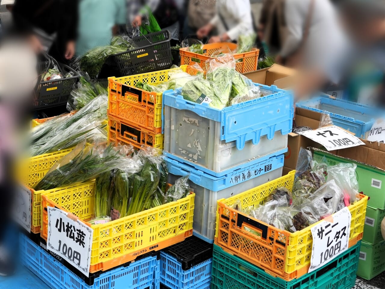 安穏朝市　産直野菜販売