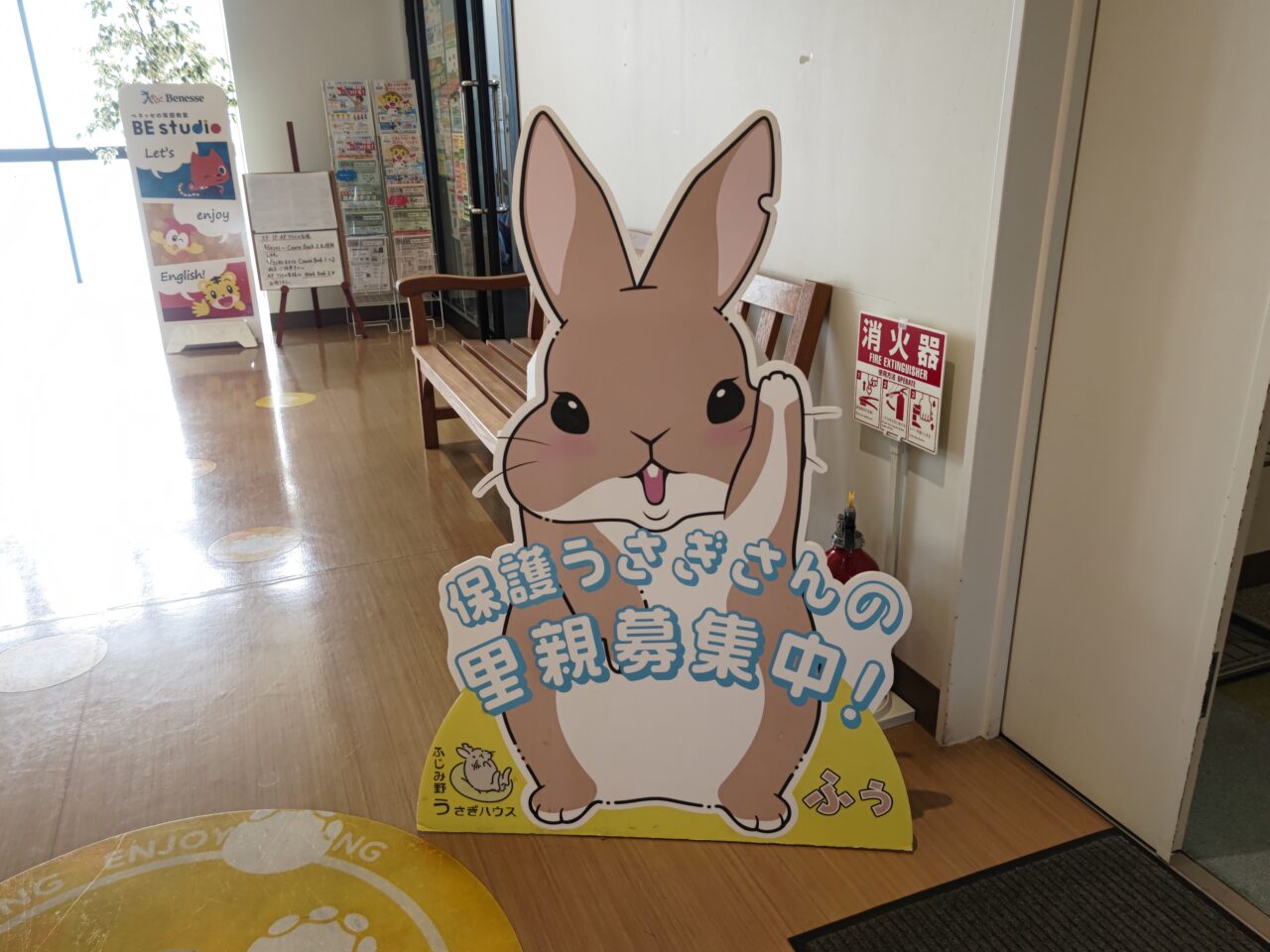 保護うさぎさんの譲渡会
