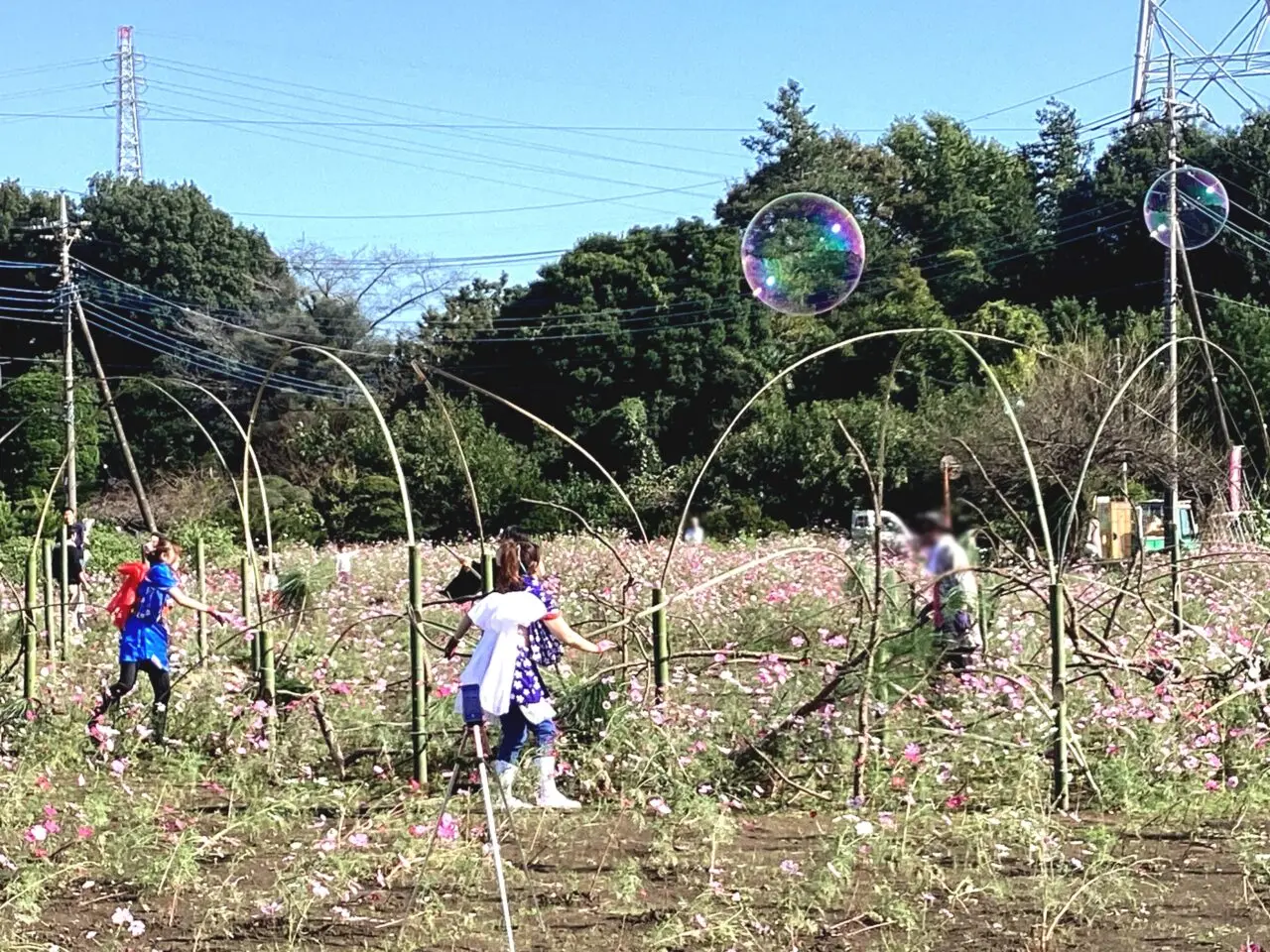 花音　結び