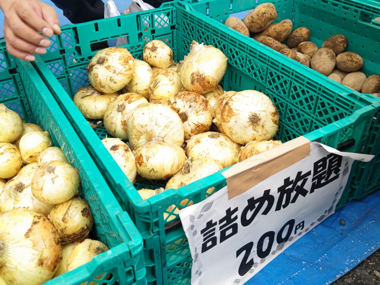 野菜詰め放題　岩槻安穏朝市