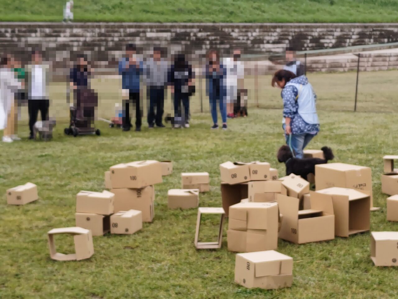 ペット同行避難ゲーム