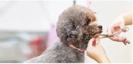 P’s-first ビューティーサロン