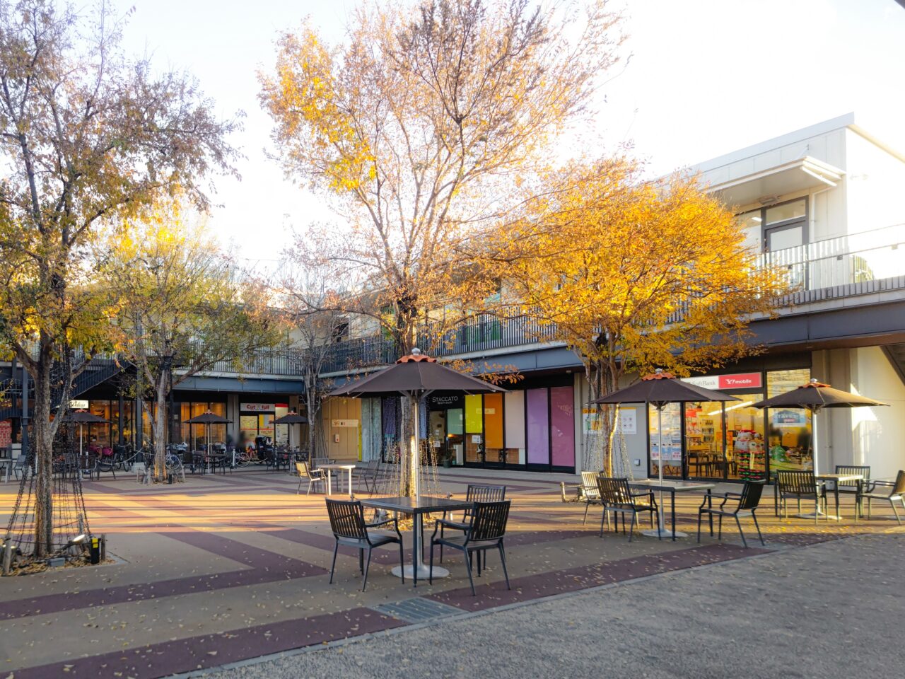 ハレノテラス ひだまり広場