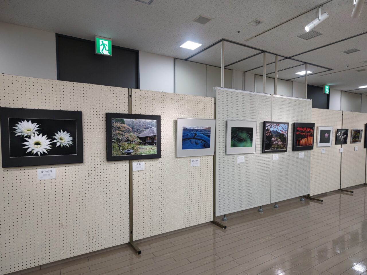 岩槻区民展 写真部門