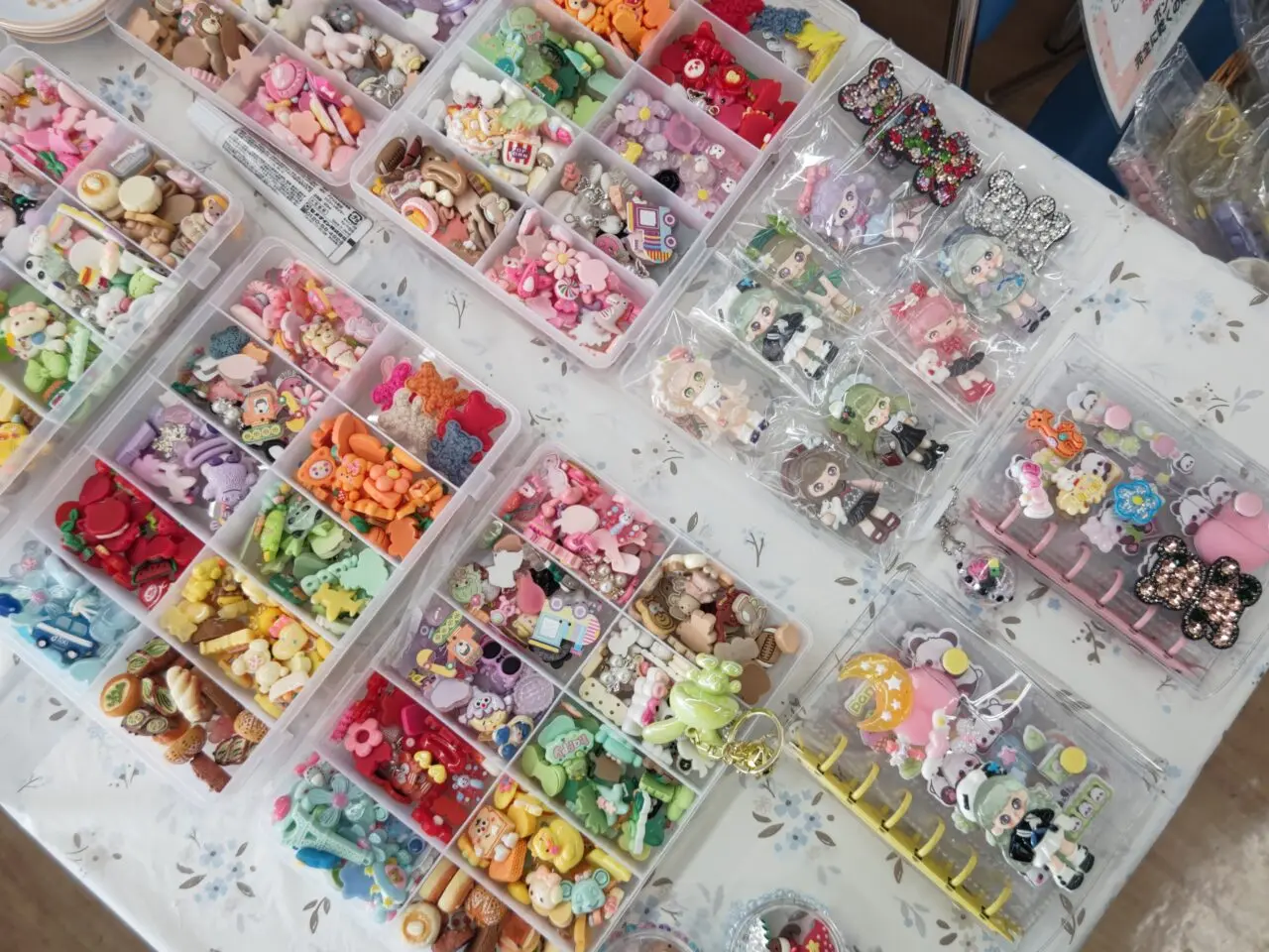 Sorriso 人間総合科学大学