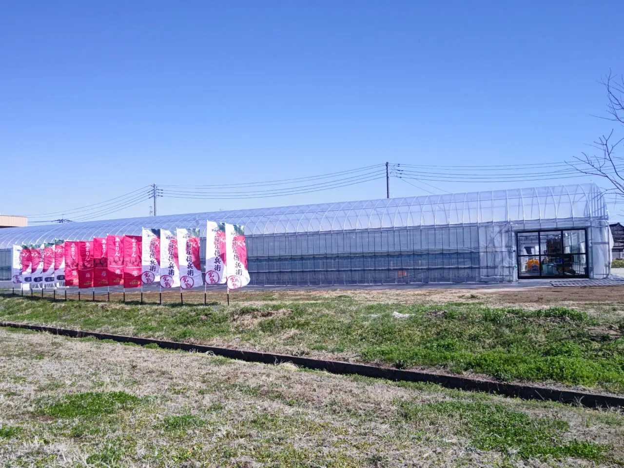 苺屋傳兵衛 ハウス