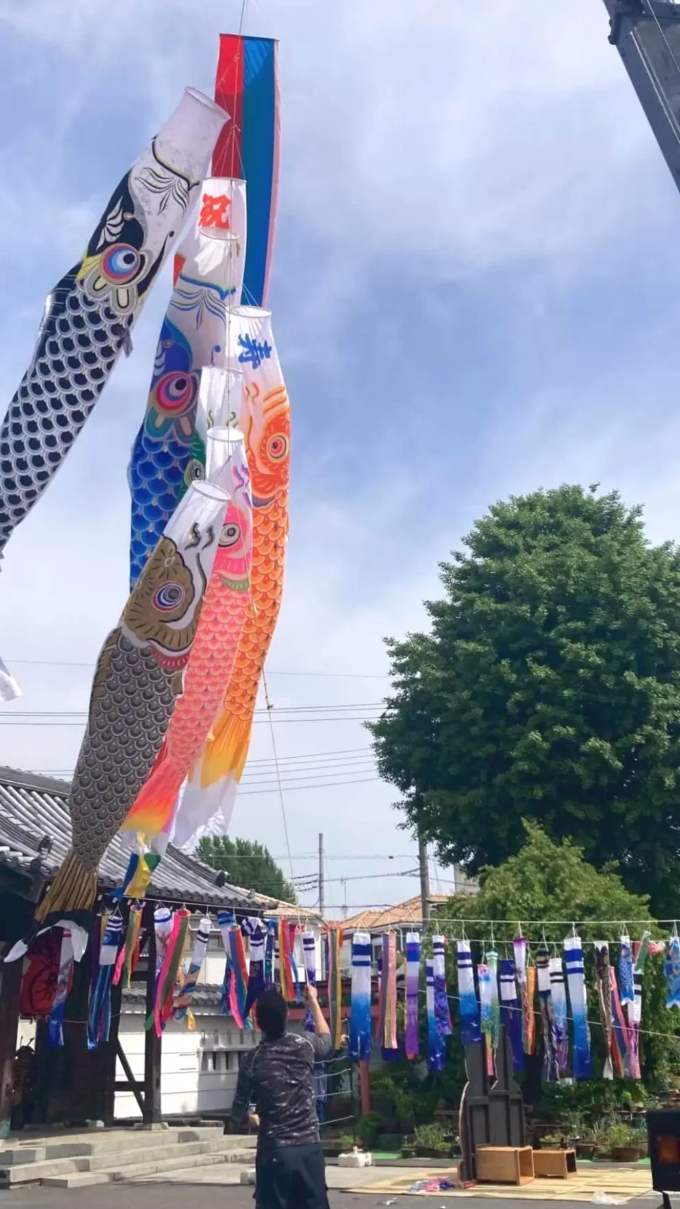 岩槻大師 鯉のぼり