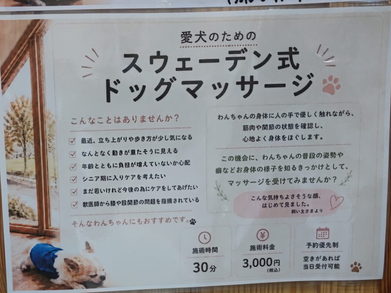 ドッグマッサージ