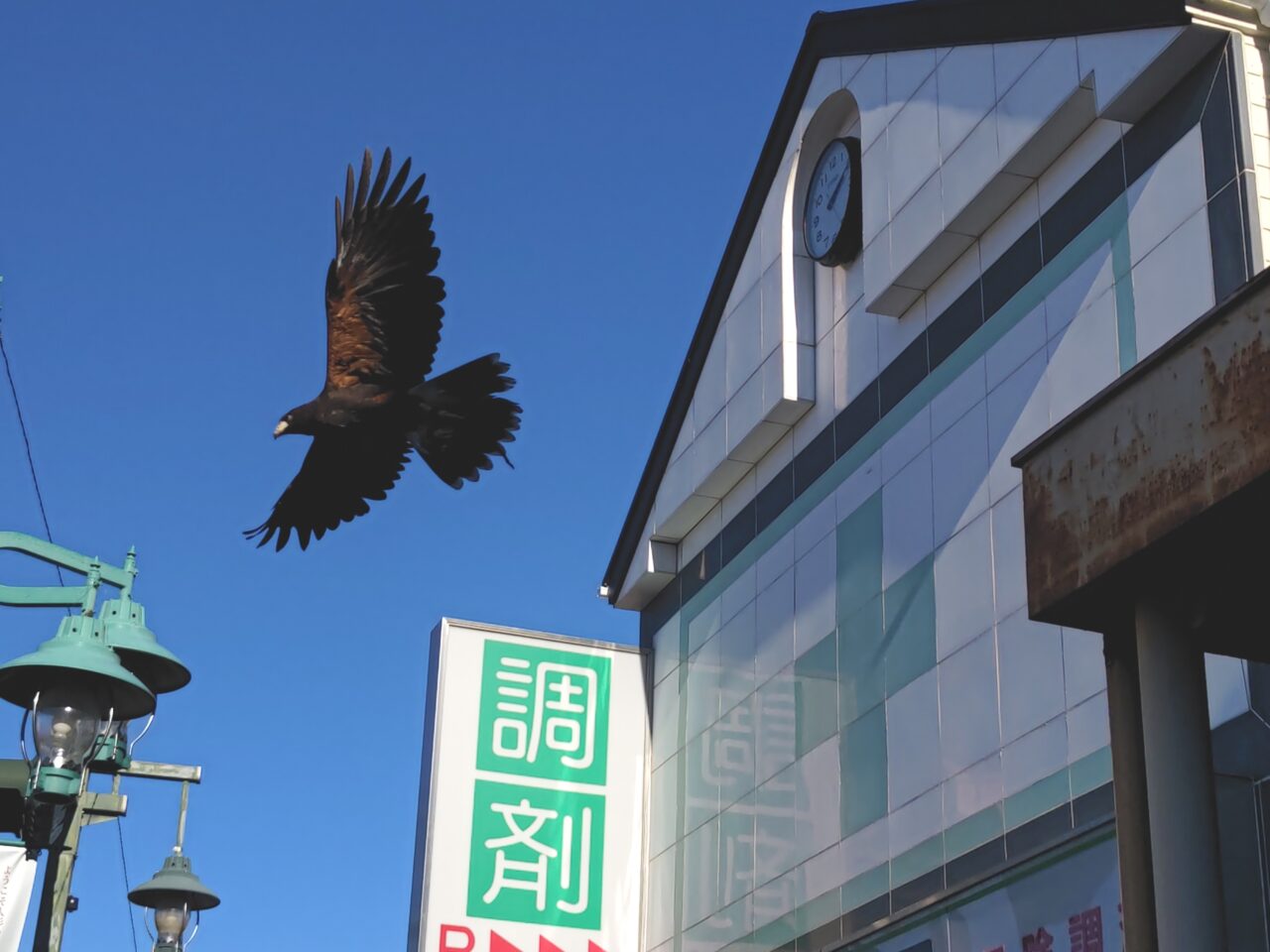 城下町岩槻鷹狩り行列