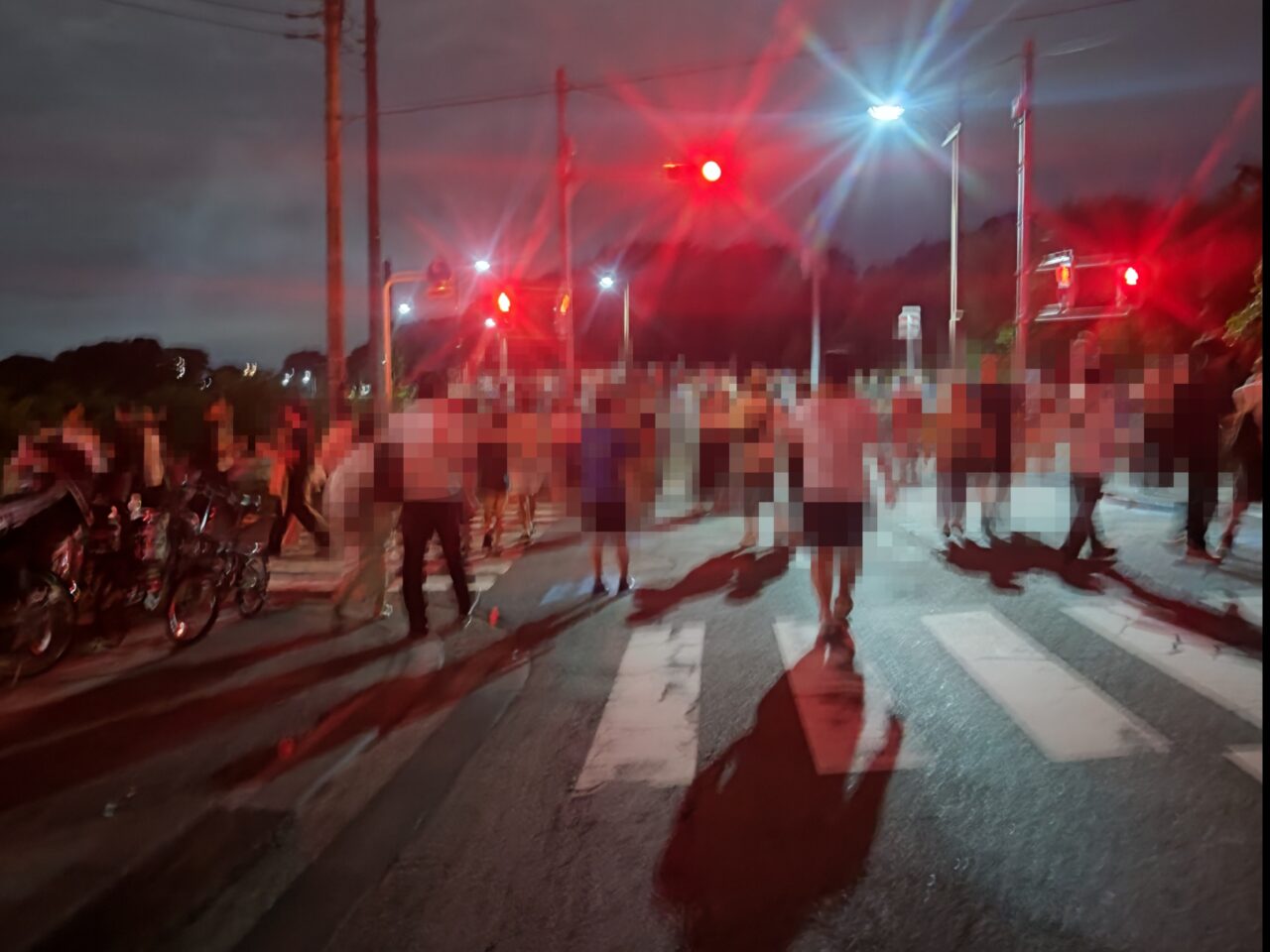 市民の森通り