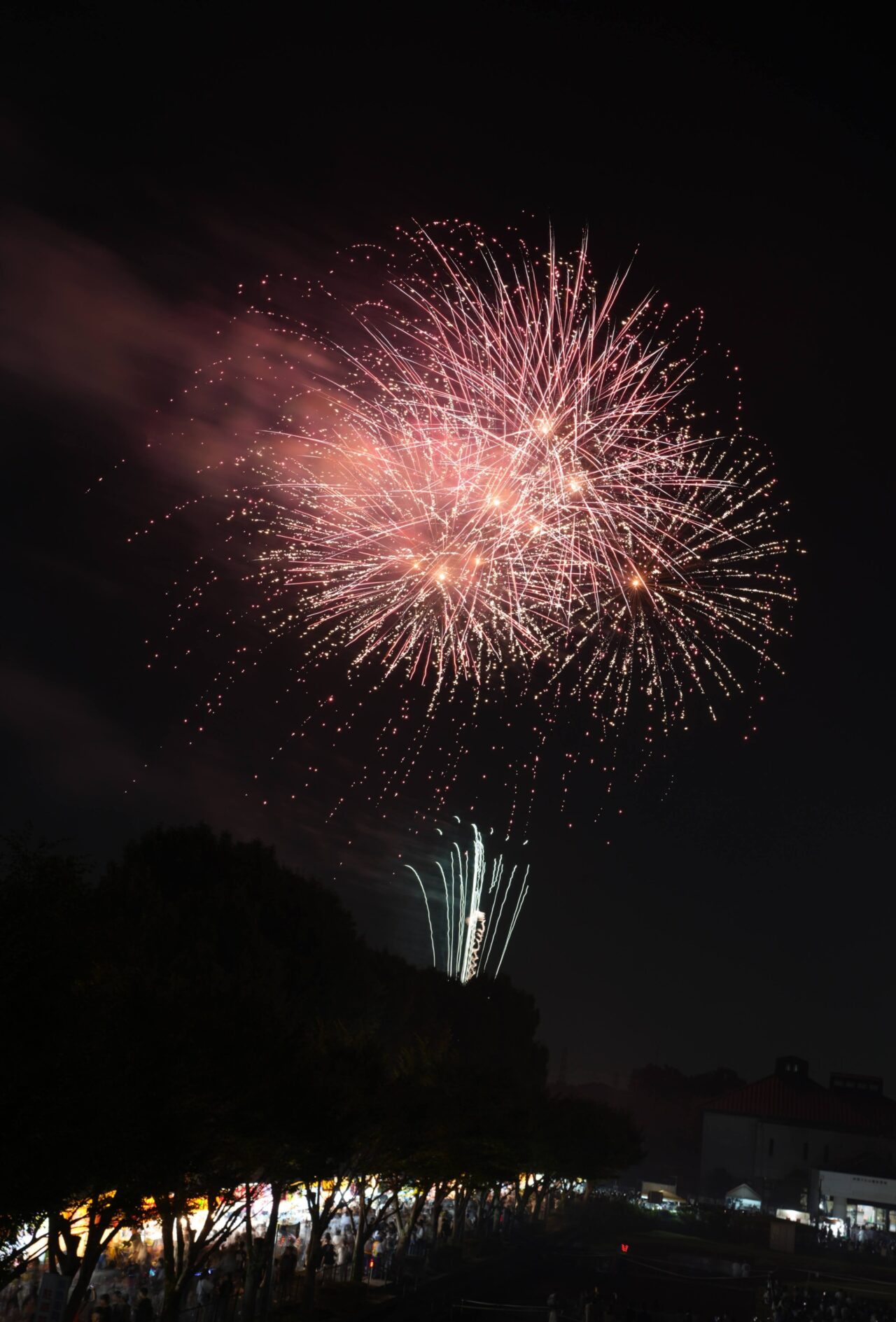 花火大会 岩槻城址公園会場