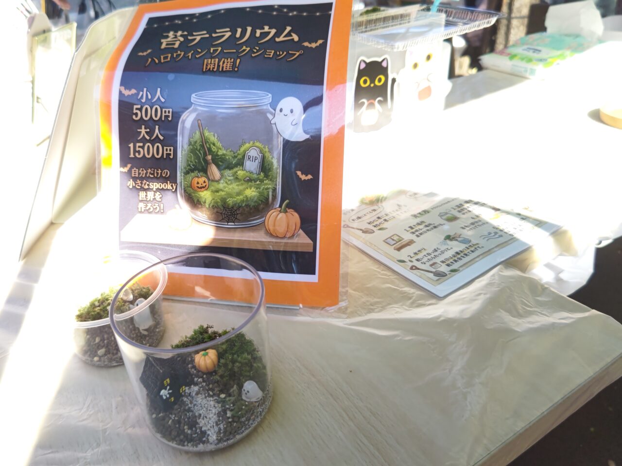 #ハレハロ Snail